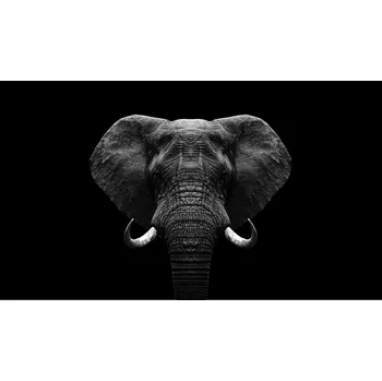 Kuchyňské prkénko Skleněná Ochranná Deska a Krájecí Prkénko | Indukce, Sporák ds-0572