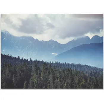 Kuchyňské prkénko Skleněná ochranná deska a prkénko na krájení | Indukce, sporák ds-0423