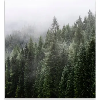 Kuchyňské prkénko Skleněná Ochranná Deska a Krájecí Prkénko | Indukce, Sporák ds-0139