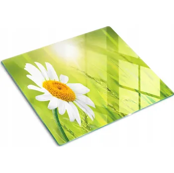 Obraz Krájecí prkénko Tulup sklo 1 ks