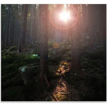 Kuchyňské prkénko Skleněná Ochranná Deska a Krájecí Prkénko | Indukce, Sporák ds-0477