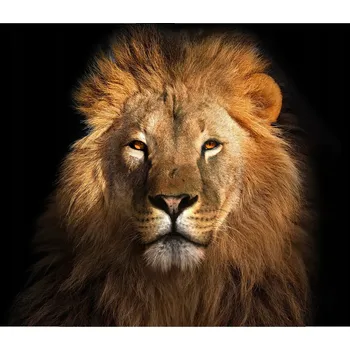 Kuchyňské prkénko Skleněná Ochranná Deska a Krájecí Prkénko | Indukce, Sporák ds-0439