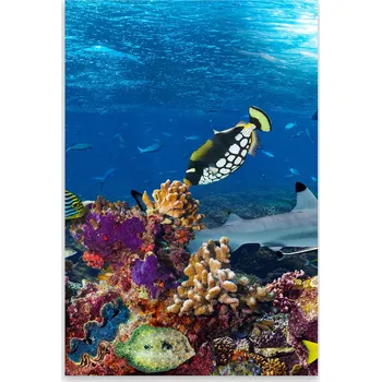 Kuchyňské prkénko Skleněná Ochranná Deska a Krájecí Prkénko | Indukce, Sporák ds-0444