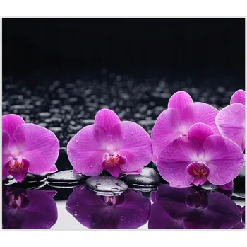 Kuchyňské prkénko Skleněná Ochranná Deska a Krájecí Prkénko | Indukce, Sporák ds-0037