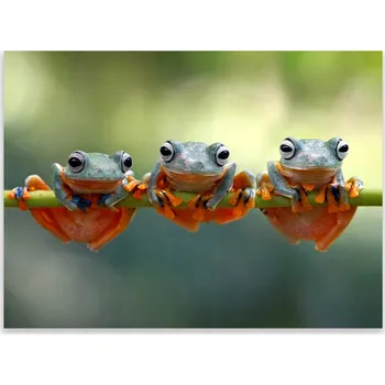 Kuchyňské prkénko Skleněná Ochranná Deska a Krájecí Prkénko | Indukce, Sporák ds-0466