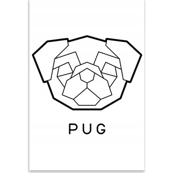 Kuchyňské prkénko Skleněná Ochranná Deska a Krájecí Prkénko | Indukce, Sporák ds-0181