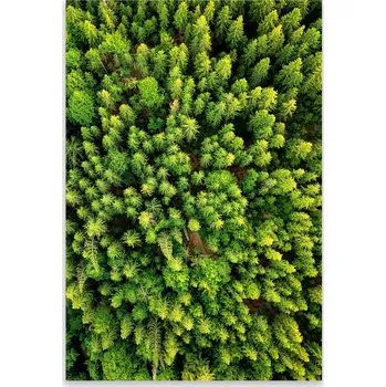 Kuchyňské prkénko Skleněná Ochranná Deska a Krájecí Prkénko | Indukce, Sporák ds-0470