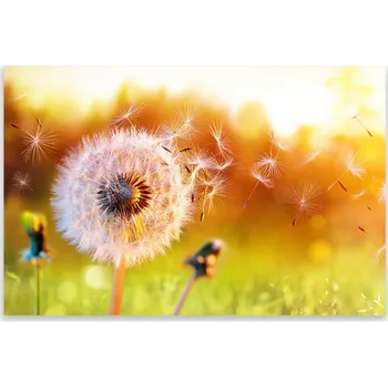 Kuchyňské prkénko Skleněná Ochranná Deska a Krájecí Prkénko | Indukce, Sporák ds-0573