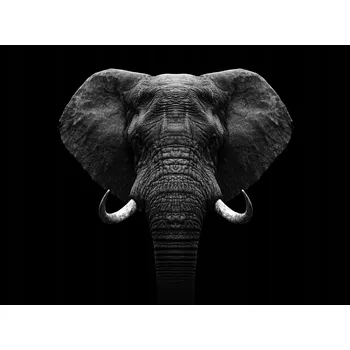 Kuchyňské prkénko Skleněná Ochranná Deska a Krájecí Prkénko | Indukce, Sporák ds-0572