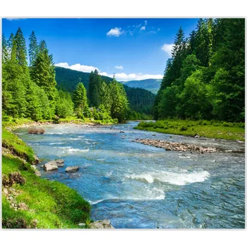 Kuchyňské prkénko Skleněná Ochranná Deska a Krájecí Prkénko | Indukce, Sporák ds-0364