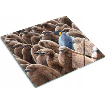 Obraz Sklo krájecí prkénko Tulup 1 ks