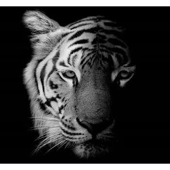 Kuchyňské prkénko Skleněná Ochranná Deska a Krájecí Prkénko | Indukce, Sporák ds-0408