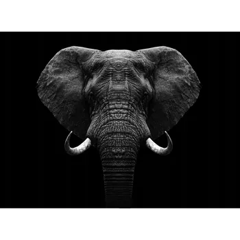 Kuchyňské prkénko Skleněná Ochranná Deska a Krájecí Prkénko | Indukce, Sporák ds-0572