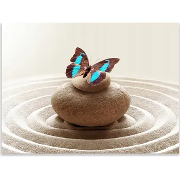 Kuchyňské prkénko Skleněná Ochranná Deska a Krájecí Prkénko | Indukce, Sporák ds-0171