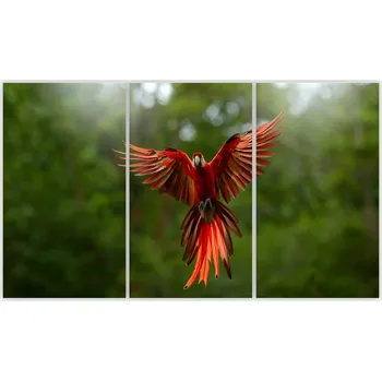 Kuchyňské prkénko Skleněná Ochranná Deska a Krájecí Prkénko | Indukce, Sporák ds-0530