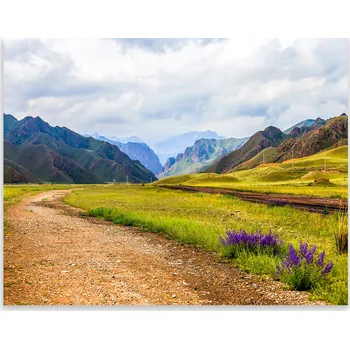 Kuchyňské prkénko Skleněná Ochranná Deska a Krájecí Prkénko | Indukce, Sporák ds-0498