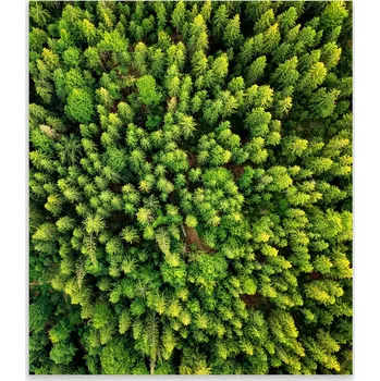 Kuchyňské prkénko Skleněná Ochranná Deska a Krájecí Prkénko | Indukce, Sporák ds-0470