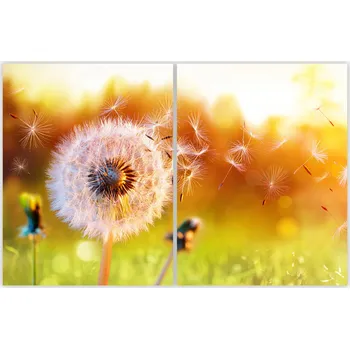 Kuchyňské prkénko Skleněná Ochranná Deska a Krájecí Prkénko | Indukce, Sporák ds-0573