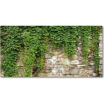 Obraz Kuchyňský panel Zelený břečťan 140x70 cm + LEPIDLO