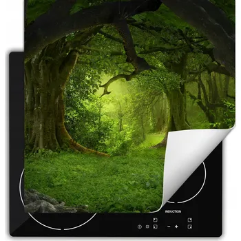 Obraz Ochranná podložka pod indukční varnou desku, dekorativní, rolovací, do kuchyně, potisk 60x52 cm wm0420