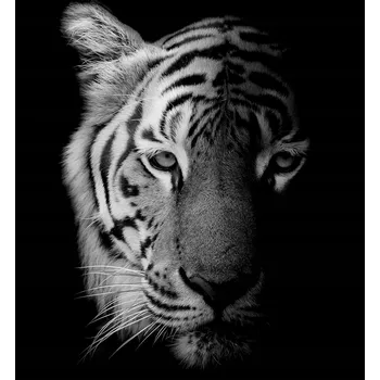 Kuchyňské prkénko Skleněná Ochranná Deska a Krájecí Prkénko | Indukce, Sporák ds-0408