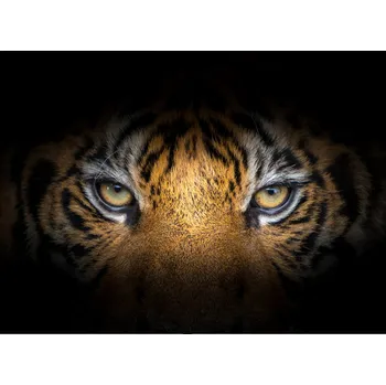 Kuchyňské prkénko Skleněná Ochranná Deska a Krájecí Prkénko | Indukce, Sporák ds-0535