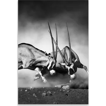 Kuchyňské prkénko Skleněná Ochranná Deska a Krájecí Prkénko | Indukce, Sporák ds-0374