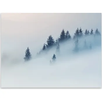 Kuchyňské prkénko Skleněná Ochranná Deska a Krájecí Prkénko | Indukce, Sporák ds-0387