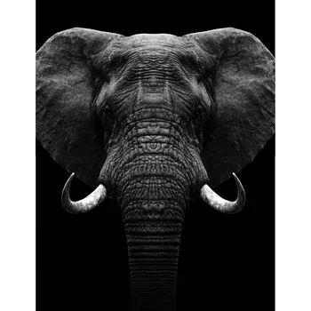 Kuchyňské prkénko Skleněná Ochranná Deska a Krájecí Prkénko | Indukce, Sporák ds-0572