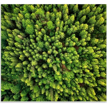 Kuchyňské prkénko Skleněná Ochranná Deska a Krájecí Prkénko | Indukce, Sporák ds-0470