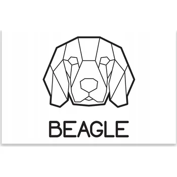 Kuchyňské prkénko Skleněná Ochranná Deska a Krájecí Prkénko | Indukce, Sporák ds-0182