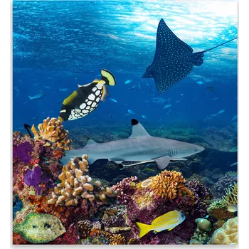 Kuchyňské prkénko Skleněná Ochranná Deska a Krájecí Prkénko | Indukce, Sporák ds-0444