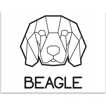 Kuchyňské prkénko Skleněná Ochranná Deska a Krájecí Prkénko | Indukce, Sporák ds-0182