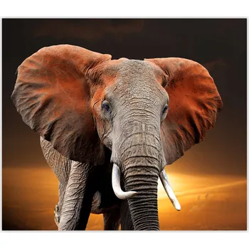 Kuchyňské prkénko Skleněná Ochranná Deska a Krájecí Prkénko | Indukce, Sporák ds-0544