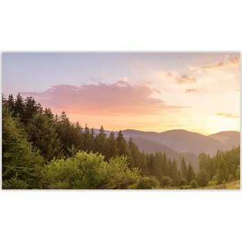 Kuchyňské prkénko Skleněná Ochranná Deska a Krájecí Prkénko | Indukce, Sporák ds-0471