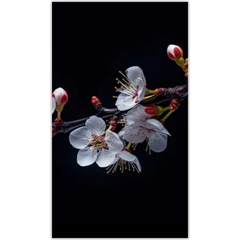 Kuchyňské prkénko Skleněná Ochranná Deska a Krájecí Prkénko | Indukce, Sporák ds-0299