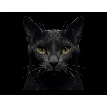 Kuchyňské prkénko Skleněná Ochranná Deska a Krájecí Prkénko | Indukce, Sporák ds-0304