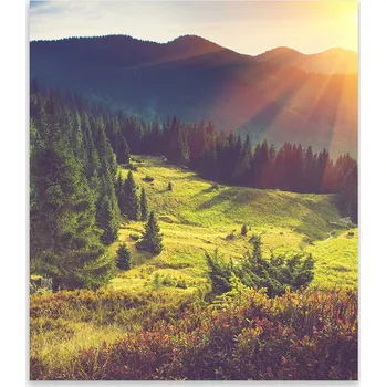 Kuchyňské prkénko Skleněná Ochranná Deska a Krájecí Prkénko | Indukce, Sporák ds-0383