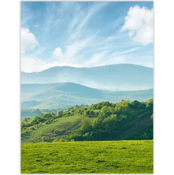 Kuchyňské prkénko Skleněná Ochranná Deska a Krájecí Prkénko | Indukce, Sporák ds-0566