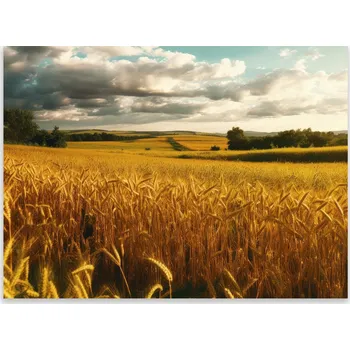 Kuchyňské prkénko Skleněná Ochranná Deska a Krájecí Prkénko | Indukce, Sporák ds-0331