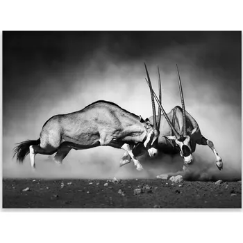 Kuchyňské prkénko Skleněná Ochranná Deska a Krájecí Prkénko | Indukce, Sporák ds-0374