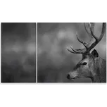 Skleněná Ochranná Deska a Krájecí Prkénko | Indukce, Sporák ds-0204