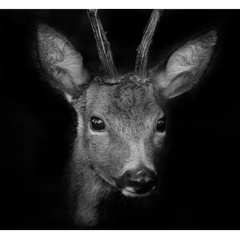 Kuchyňské prkénko Skleněná Ochranná Deska a Krájecí Prkénko | Indukce, Sporák ds-0205