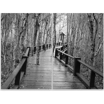 Kuchyňské prkénko Skleněná Ochranná Deska a Krájecí Prkénko | Indukce, Sporák ds-0169