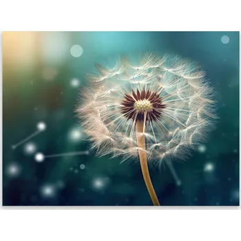 Obraz Skleněná Ochranná Deska a Krájecí Prkénko | Indukce, Sporák ds-0321