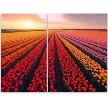 Kuchyňské prkénko Skleněná Ochranná Deska a Krájecí Prkénko | Indukce, Sporák ds-0335