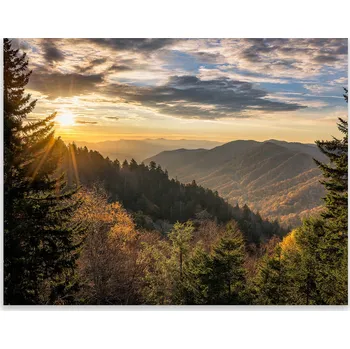 Kuchyňské prkénko Skleněná Ochranná Deska a Krájecí Prkénko | Indukce, Sporák ds-0407