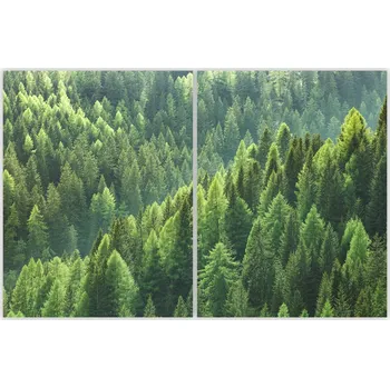 Kuchyňské prkénko Skleněná Ochranná Deska a Krájecí Prkénko | Indukce, Sporák ds-0417