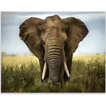 Kuchyňské prkénko Skleněná Ochranná Deska a Krájecí Prkénko | Indukce, Sporák ds-0363