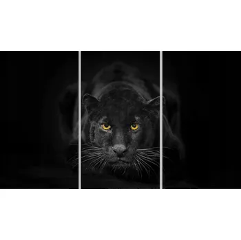 Kuchyňské prkénko Skleněná Ochranná Deska a Krájecí Prkénko | Indukce, Sporák ds-0110